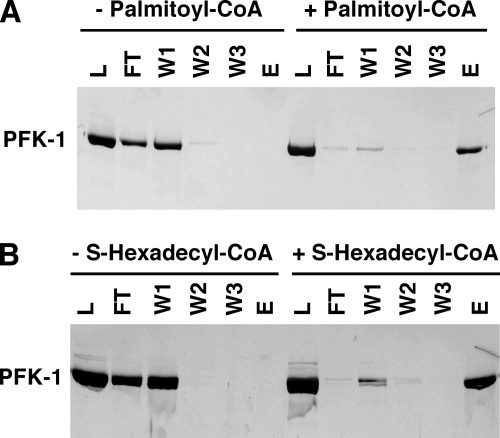 FIGURE 11.