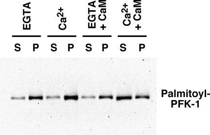 FIGURE 12.