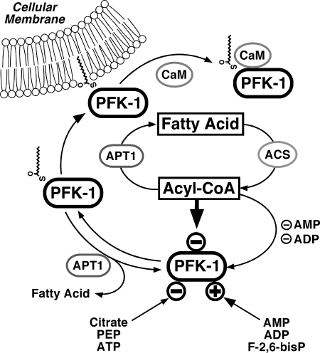 FIGURE 13.