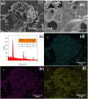 Fig. 2