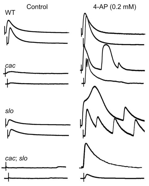 Figure 8