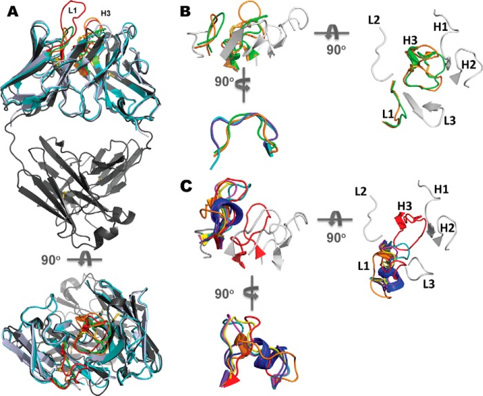 FIGURE 5.