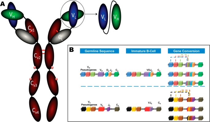 FIGURE 1.