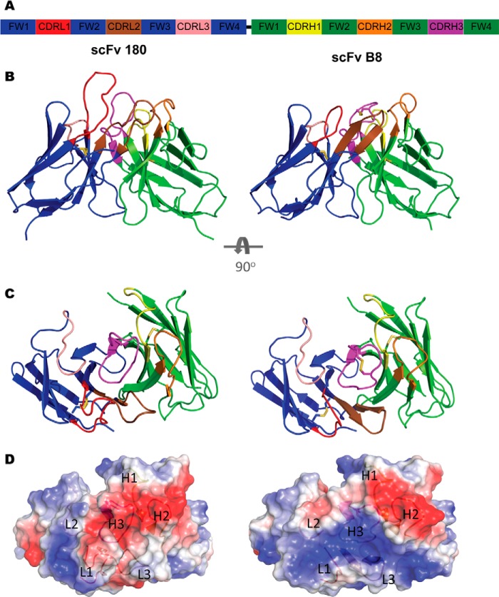 FIGURE 4.