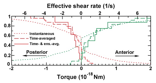 Figure 7—figure supplement 1.