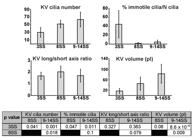 Figure 4—figure supplement 1.