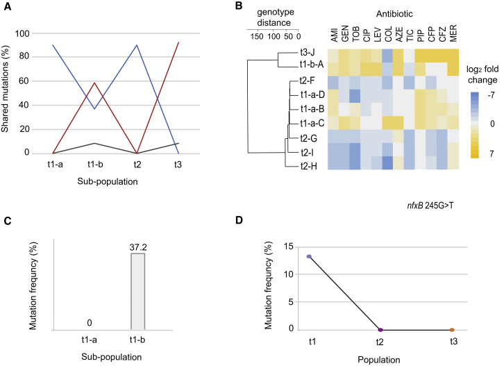 Figure 6