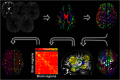 <b>Figure 1.</b>
