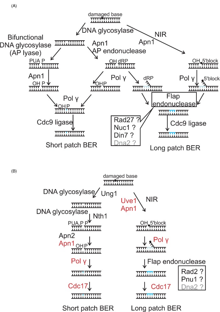 Figure 9.