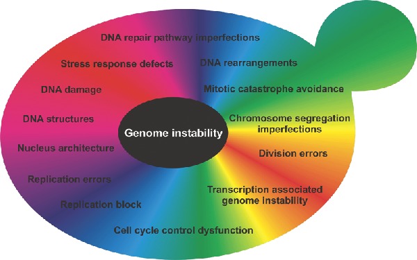 Graphical Abstract Figure.