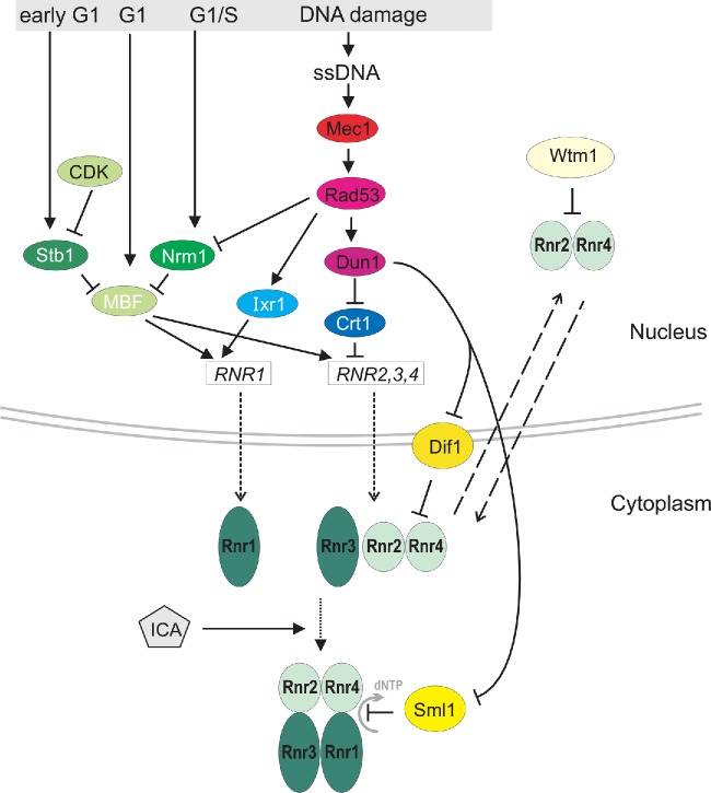 Figure 2.