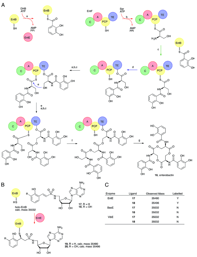 Fig. 3.