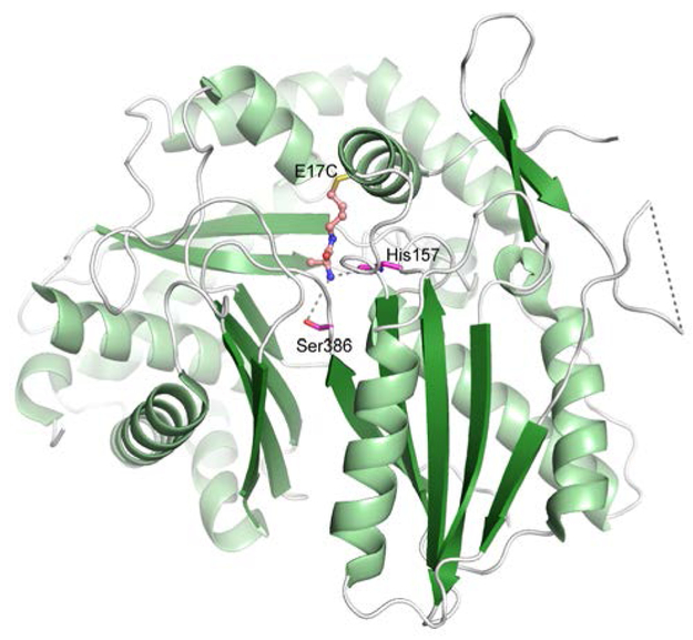 Fig. 9.
