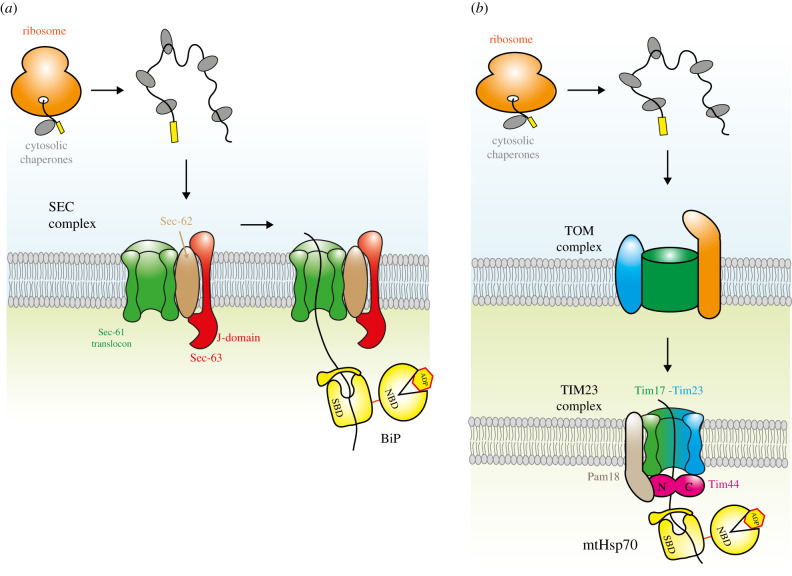 Figure 2.