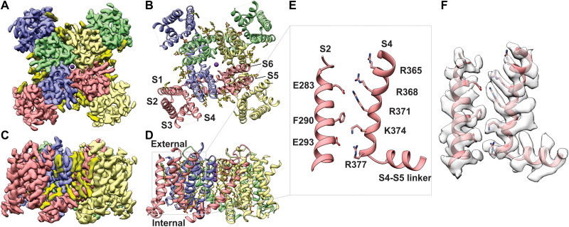 Fig. 1.