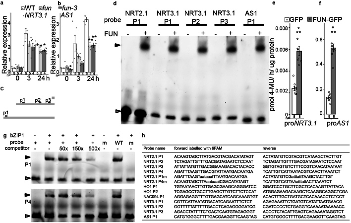 Extended Data Fig. 5