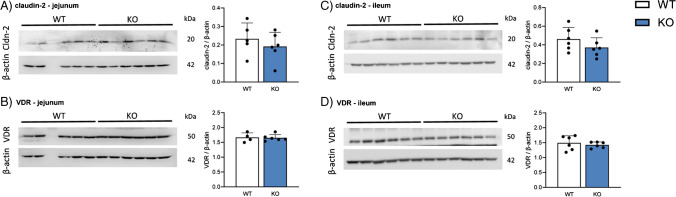 Fig. 9