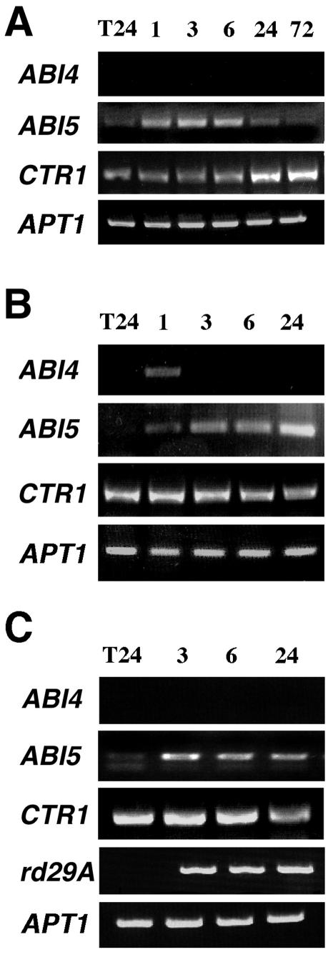 Figure 5.