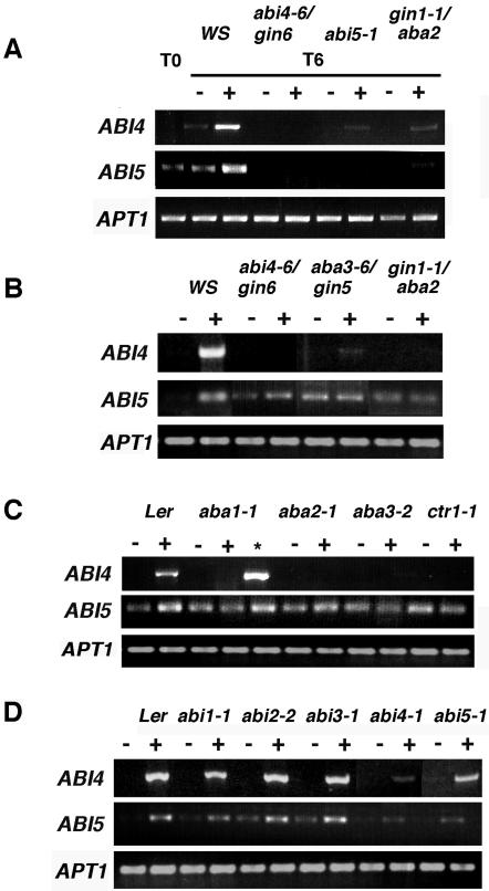 Figure 6.