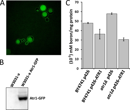 FIG. 4.