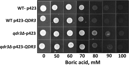 FIG. 7.