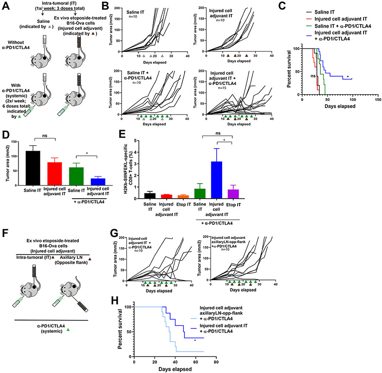 Figure 4: