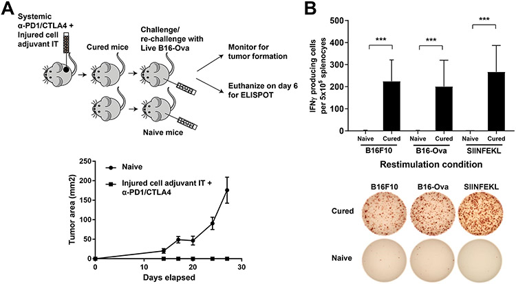 Figure 5: