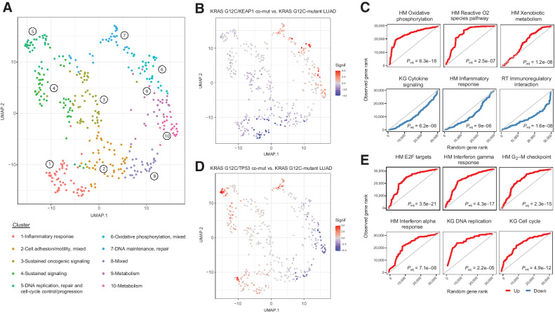 Figure 6. Differential expression profiles driven by KRAS G12C comutation status in LUADs. Comutation driven GSEA leveraging transcriptomic profiles from RNA sequencing revealed marked differences in gene expression programs depending on KRAS G12C comutations. A, Normalized enrichment scores from GSEA in KRAS G12C-mutant LUADs harboring different comutations were used as an input for UMAP dimensionality reduction, that revealed convergence of gene sets in distinct clusters related to immune/inflammatory response, metabolism, sustained/mitogenic signaling, oxidative phosphorylation, apoptosis, DNA maintenance, replication and repair and cell-cycle progression. B and C, KRAS G12C/KEAP1 co-mutant LUADs showed a downregulation of gene sets related to inflammatory responses, while showing an enrichment in metabolism, oxidative phosphorylation reactive oxygen species pathway gene sets. The continuous significance score (Signif) indicates the −log10(Padj) * sign(fold-change) from the GSEA, red indicates upregulation and blue indicates downregulation. D and E, A prominent upregulation of inflammatory response related gene expression programs was noted in the TME of KRAS G12C/TP53 co-mutant LUADs, together with gene sets related to cell-cycle progression and E2F-driven proliferation. Quantile-quantile plots were generated to visually compare the ranks of genes in the pathway to ranks that were sampled from a discrete uniform distribution. Adjusted P values for gene set differential expression are provided for comparison of KRAS G12C/non–RAS-mutant LUAD to KRAS G12C-mutant LUAD. LUAD, lung adenocarcinoma; HM, Hallmark; KG, Kegg.