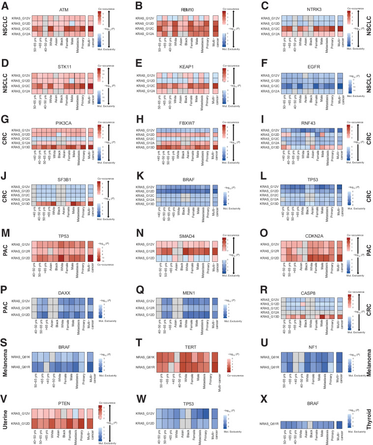 Figure 4. Differential comutation patterns in KRAS- and NRAS-mutant tumors point to RAS/non-RAS gene dependencies based on host features and cancer lineage. Differential RAS-mutant allele comutation patterns per tumor type and by age, race, and sex for KRAS/ATM in NSCLC (A), KRAS/RBM10 in NSCLC (B), KRAS/NTRK3 in NSCLC (C), KRAS/STK11 in NSCLC (D), KRAS/KEAP1 in NSCLC (E), KRAS/EGFR in NSCLC (F), KRAS/PIK3CA in colorectal carcinoma (G), KRAS/FBXW7 in colorectal carcinoma (H), KRAS/RNF43 in colorectal carcinoma (I), KRAS/SF3B1 in colorectal carcinoma (J), KRAS/BRAF in colorectal carcinoma (K), KRAS/TP53 in colorectal carcinoma (L), KRAS/TP53 in PAC (M), KRAS/SMAD4 in PAC (N), KRAS/CDKN2A in PAC (O), KRAS/DAX in PAC (P), KRAS/MEN1 in PAC (Q), KRAS/CASP8 in colorectal carcinoma (R), NRAS/BRAF in melanoma (S), NRAS/TERT in melanoma (T), KRAS/NF1 in melanoma (U), KRAS/PTEN in uterine cancer (V), KRAS/TP53 in uterine cancer (W) and NRAS/BRAF in thyroid cancer (X). Log OR is plotted for each stratified RAS/non-RAS comutation, red indicates co-occurrence and blue indicates mutual exclusivity or occurrence less frequently than expected under independence. CRC, colorectal cancer; NSCLC, non–small cell lung cancer; PAC, pancreatic adenocarcinoma.