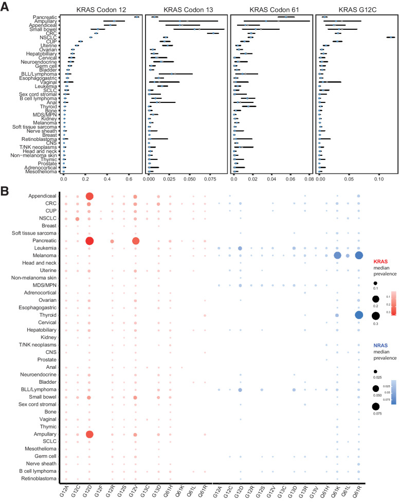 Figure 1. Prevalence of KRAS codon 12, 13, and 61 and G12C mutations is tumor type and context dependent. A, Prevalence of KRAS mutations at codons 12, 13, and 61; the empirical estimate of the KRAS prevalence is shown as solid gray points, while the posterior median prevalence is shown as clear blue circles. KRAS codon 12 sequence alterations were dominant in PAC (65.367.269.1%), ampullary cancer (37.046.355.9%), appendiceal cancer (37.642.948.1%), small bowel cancer (25.431.437.8%), colorectal carcinoma (28.930.031.1%), NSCLC (24.225.025.9%), CUP (14.115.717.4%), uterine cancer (11.012.313.8%), ovarian cancer (7.58.69.8%), hepatobiliary cancer (6.98.29.8%), cervical cancer (4.97.210.1%), neuroendocrine tumors (4.36.59.3%), germ cell tumors (4.35.77.4%), and bladder cancer (3.34.25.2%), while KRAS codon 13 and 61 mutations were found at lower frequencies in these cancers. KRAS codon 13 sequence alterations were detected in 7.27.98.5% of colorectal carcinoma, 3.15.69.2% of small bowel cancer, 1.33.88.4% of ampullary cancer, 2.13.86.1% of appendiceal cancer, 1.32.85.3% of B-lymphoblastic leukemia/lymphoma, 1.72.32.9% of uterine cancer and 1.82.12.3% of NSCLC, whereas KRAS codon 61 mutations were detected in 4.75.56.4% of PAC, 1.13.40.8% of ampullary cancer, 0.92.34.8% of small bowel cancer, 1.51.82.2% of colorectal carcinoma, 1.51.82.0% of NSCLC and 0.91.52.3% of thyroid cancer. KRAS G12C mutations were detected in 111213% of NSCLC, 1.53.56.3% of small bowel cancer, 0.83.27.1% of ampullary cancer, 2.73.13.6% of colorectal carcinoma, 2.33.03.8% of CUP, 1.12.54.3% of appendiceal cancer, 0.71.11.6% of uterine cancer, and less than 1% of PAC, hepatobiliary cancer, small cell lung cancer, neuroendocrine tumors, and bladder cancer. B, Posterior median prevalence estimates for mutant KRAS alleles at codons 12, 13, and 61 varied based on the tumor type interrogated. As a representative example, NSCLC predominantly harbored KRAS G12C mutations in contrast to gastrointestinal tumors and pancreatic cancer, that predominantly harbored KRAS G12D and G12V mutations. Similarly, posterior median prevalence estimates for mutant NRAS alleles at codons 12, 13, and 61, showed an enrichment in NRAS Q61R and Q61K mutations in melanoma and thyroid cancer. Error bars indicate 95% credible intervals. CRC, colorectal cancer; NSCLC, non–small cell lung cancer; CUP, cancer of unknown primary; BLL, B-lymphoblastic leukemia; MDS/MPN, myelodysplastic syndrome/myeloproliferative neoplasm; SCLC, small cell lung cancer; CNS, central nervous system tumor.