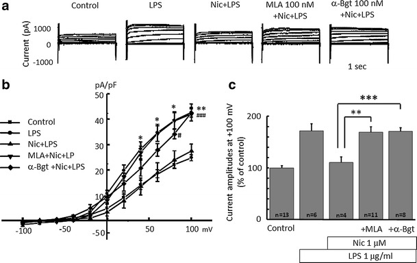 Fig. 6