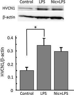 Fig. 5