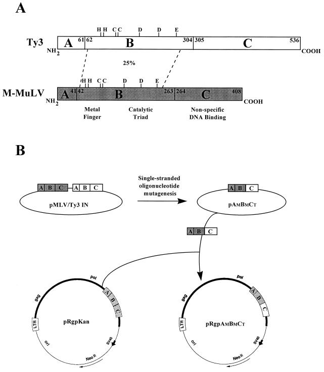 FIG. 1