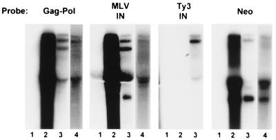 FIG. 7
