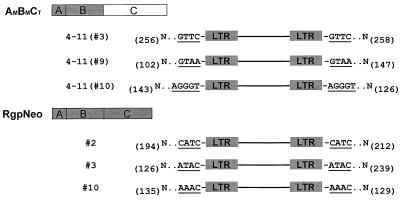 FIG. 5