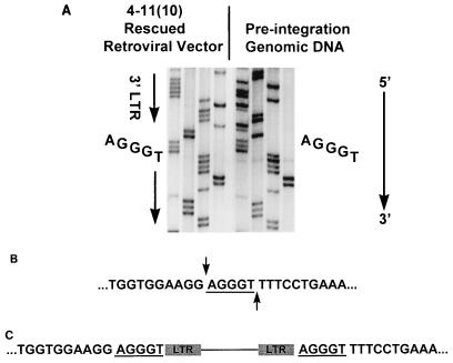 FIG. 6