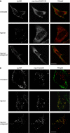 Figure 4de