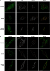 Figure 2ab