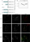 Figure 4abc