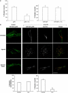 Figure 2cd