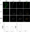 Figure 1ab