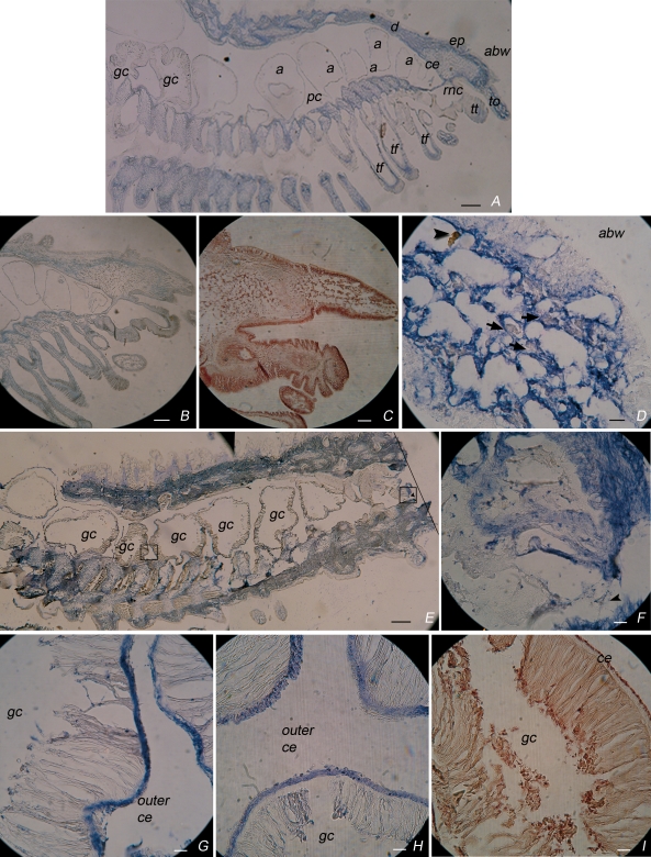 Fig 4.