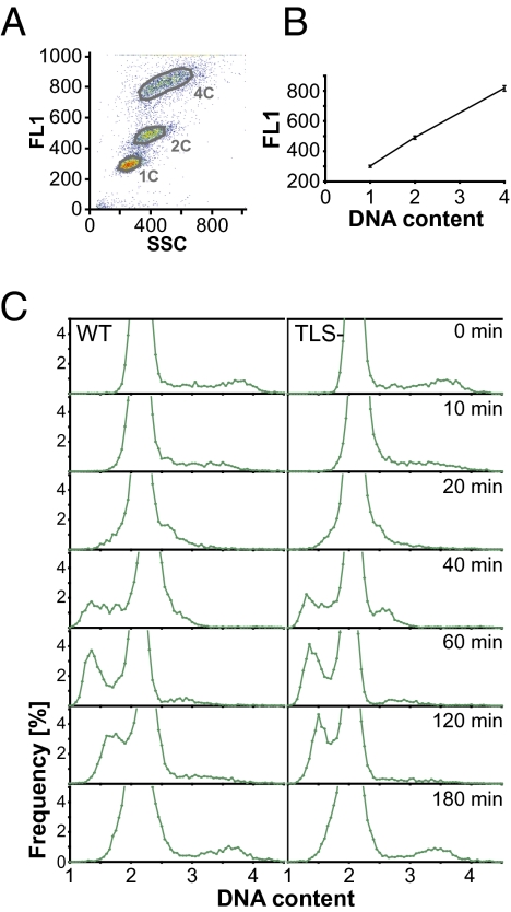 Fig. 3.