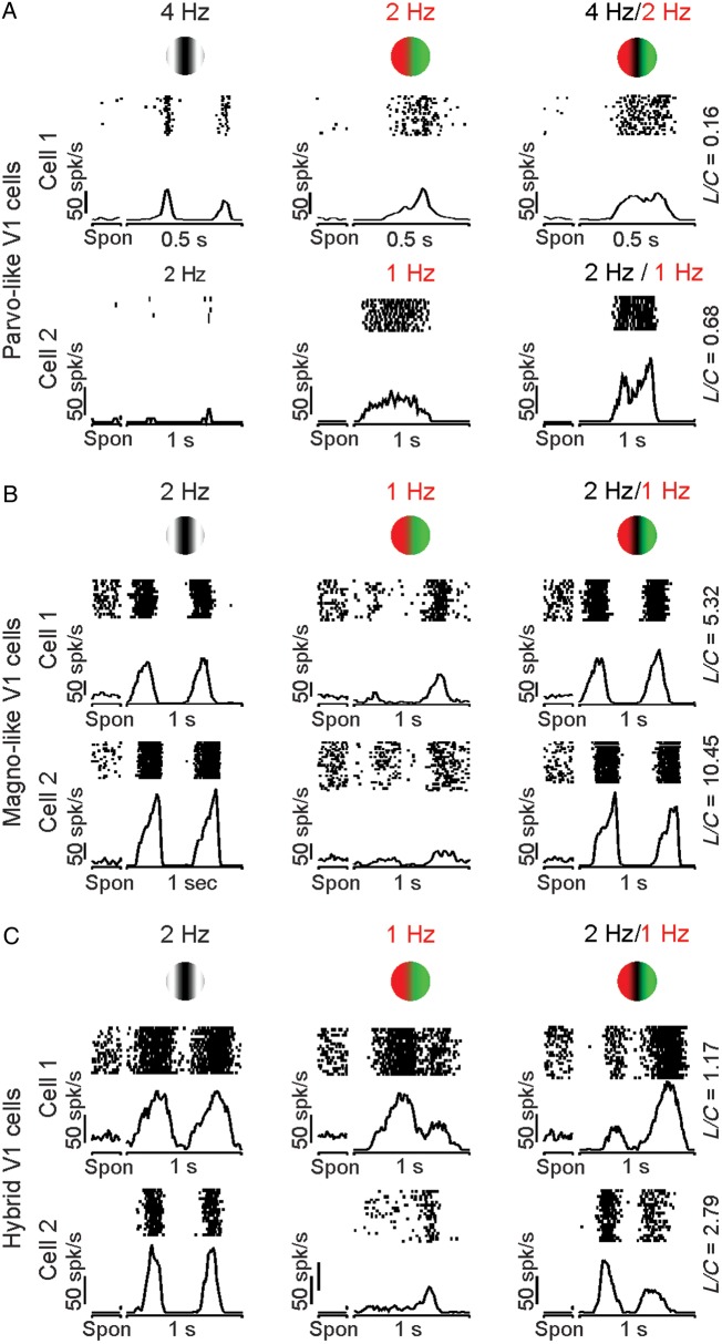 Figure 3.