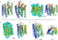 Figure 12.