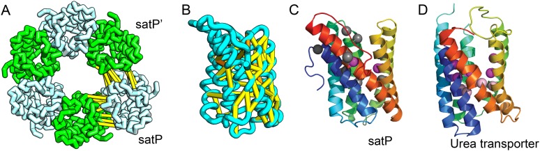 Figure 5.