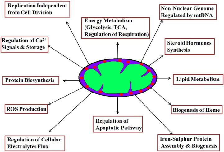 Fig. 1b