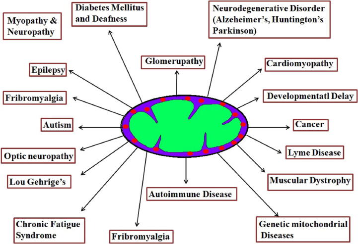 Fig. 1a