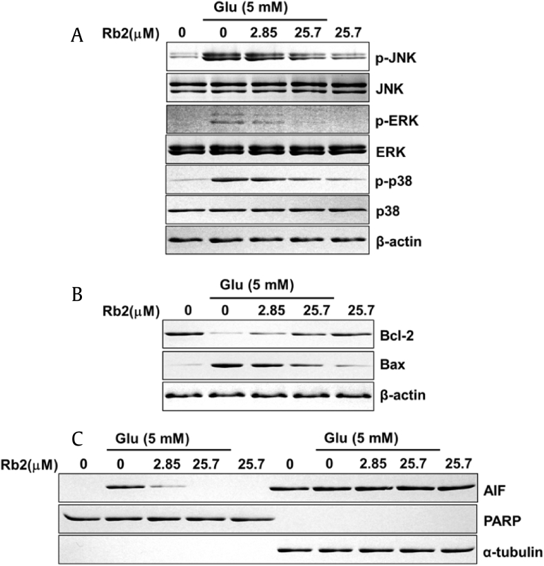 Fig. 6