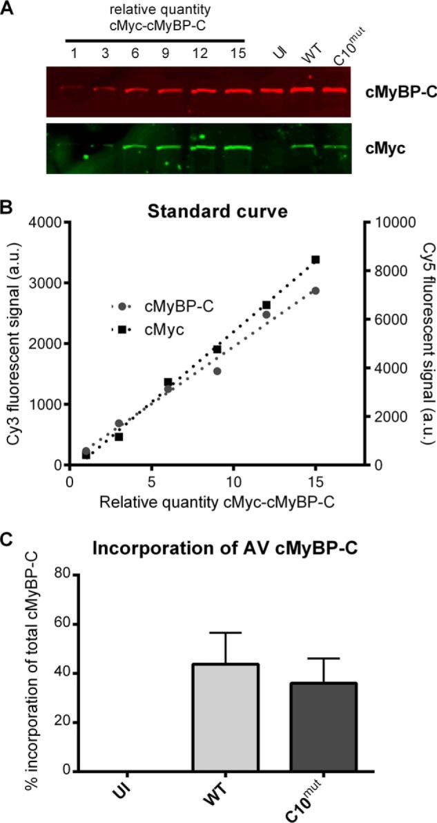 FIGURE 3.